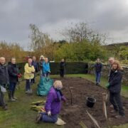 Friends of Waterloo Park