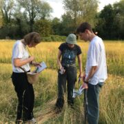 Yare Valley Meadow Makers